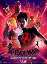 Spider-Man : Across The Spider-Verse (2023)