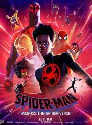 Spider-Man: Across The Spider-Verse (Spider-Man : Across The Spider-Verse)